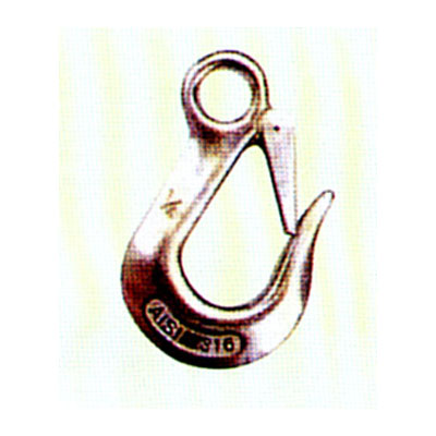 Stainless Steel Eye Slip Hook with Latch
